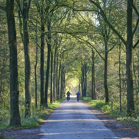 Nyaraló Bosbeertje 43