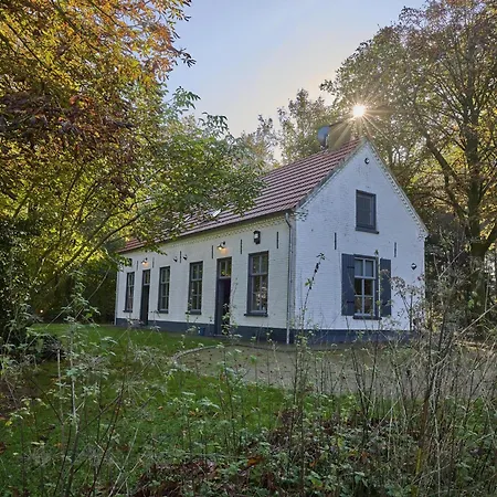 Bosbeertje 43