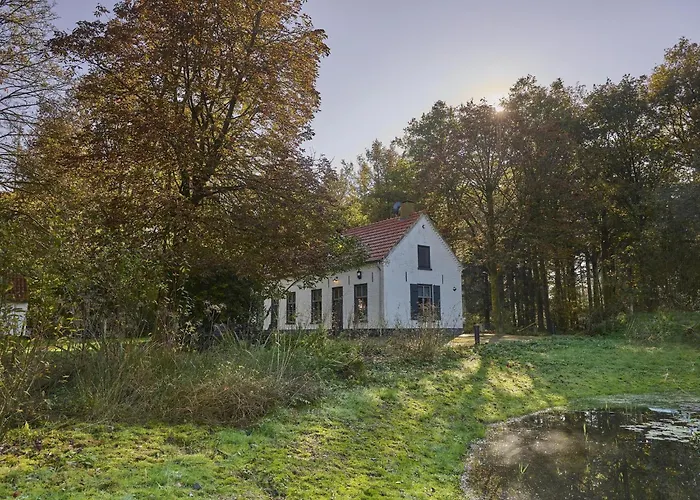 Casa vacanze Bosbeertje 43 Erp