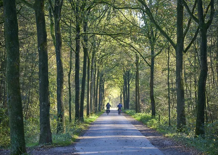 Casa vacanze Bosbeertje 43