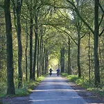 Holiday home Bosbeertje 43