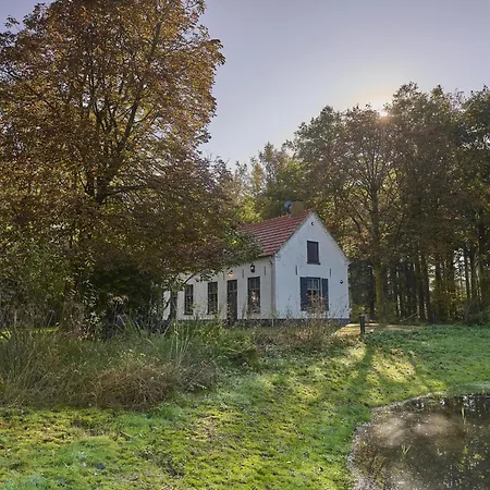 Dom wakacyjny Bosbeertje 43 Erp