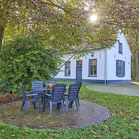 Dom wakacyjny Bosbeertje 43