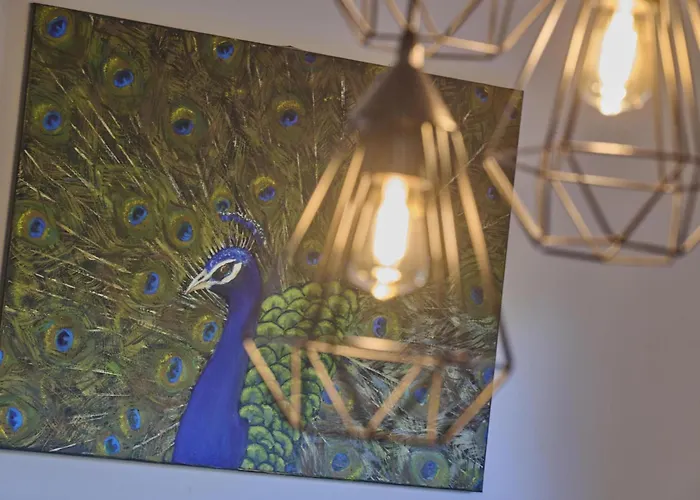 Dom wakacyjny Bosbeertje 43