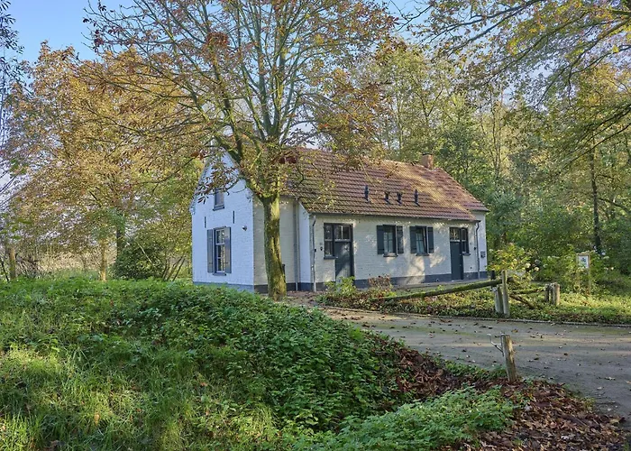 Dom wakacyjny Bosbeertje 43